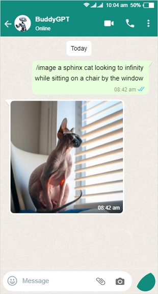 chatgpt whatsapp：我应该知道什么