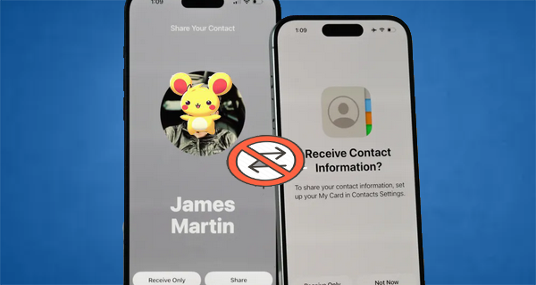 8个名字不起作用的简单解决方案[包括1个替代方案]