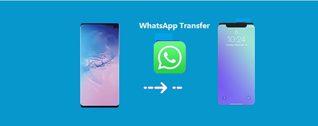 如何将WhatsApp从Android转移到16/15/14? 5种方法