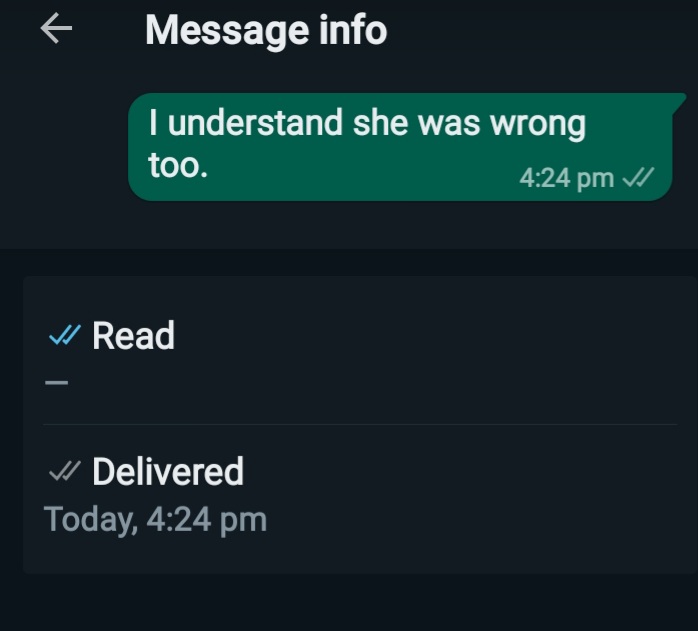 WhatsApp檢查標記是什麼意思？