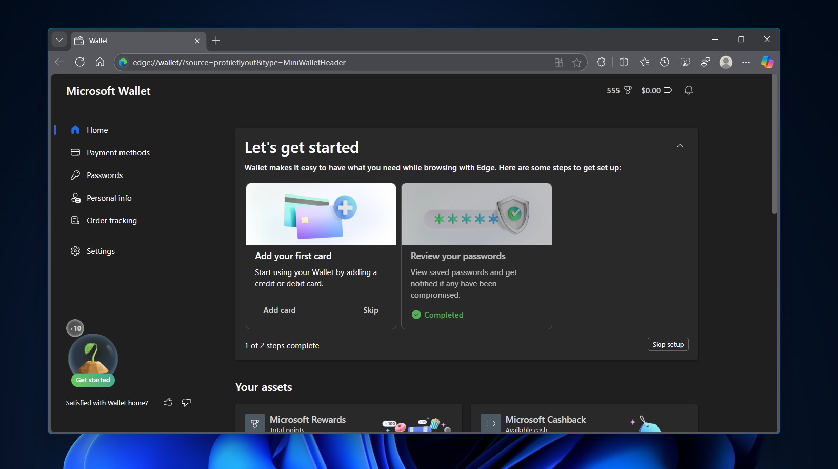 Microsoft Edge在Windows 11上杀死Wallet特征名称