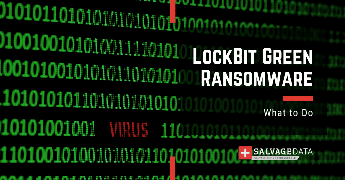 Lockbit绿色勒索软件：完整指南