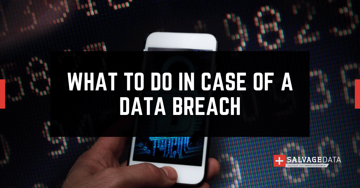 公司应在数据泄露后应该做什么：Ticketmaster事件