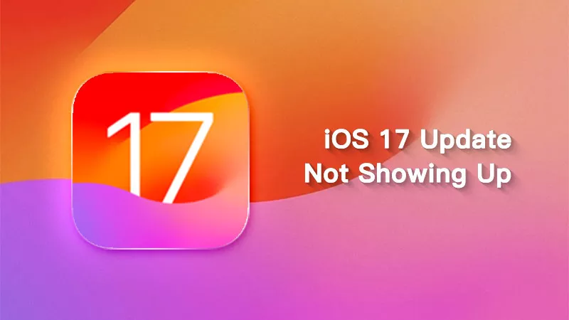 如何修复iOS 17/18 Beta更新未显示在iPhone上