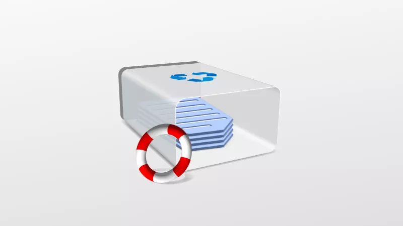 [视频指南] Windows文件恢复使用情况并恢复已删除的文件