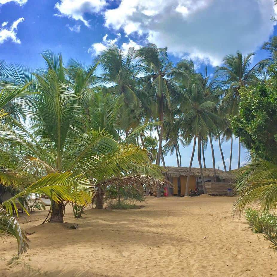 真正的斯里兰卡经验的最佳参观场所