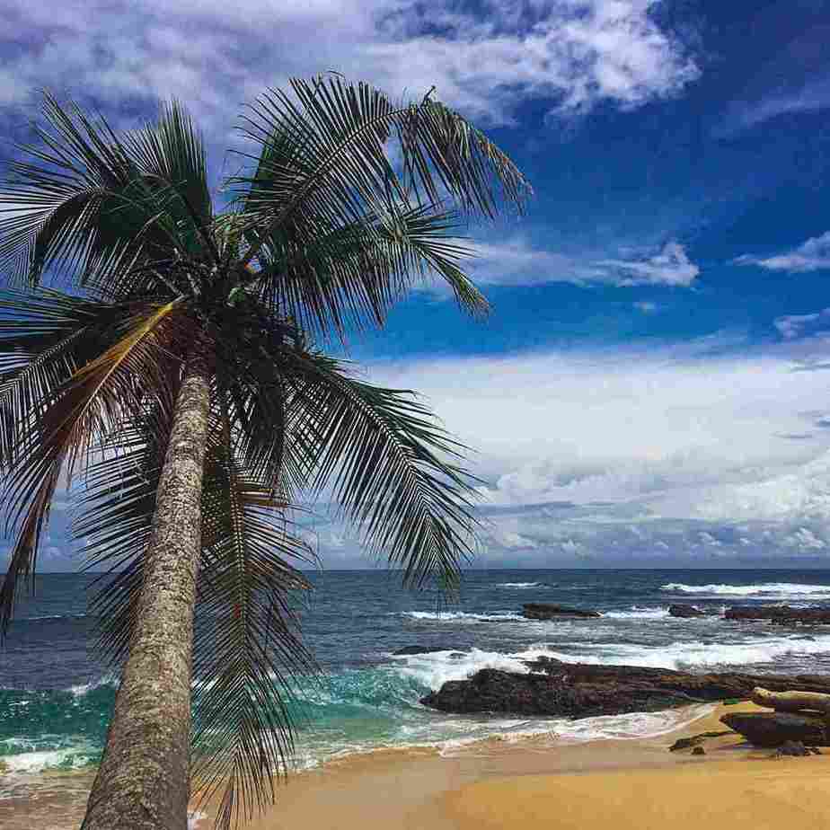 完美的斯里兰卡行程