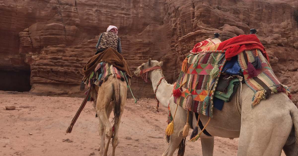 完美的4天Jordan行程