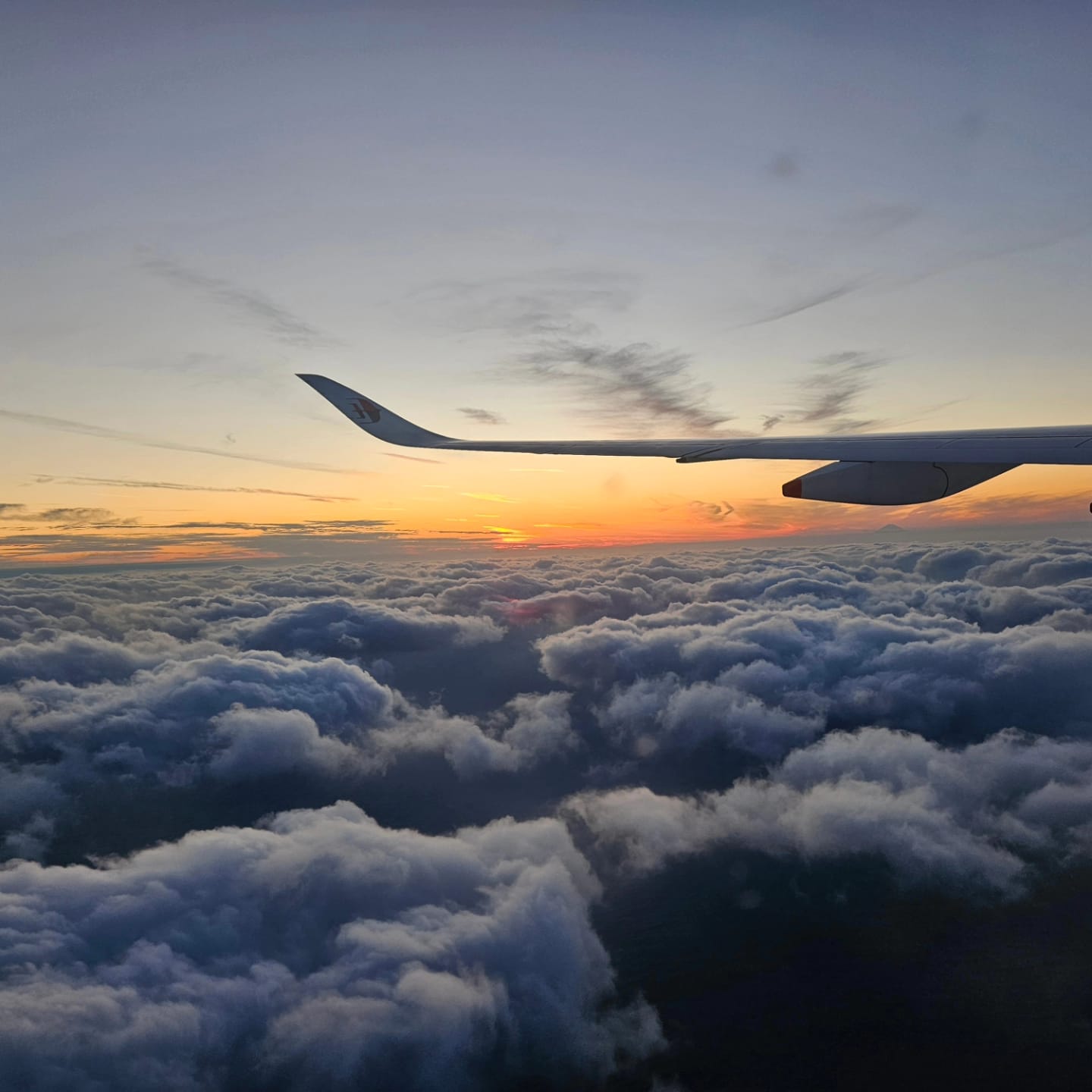 大约在180天内（一半）世界：洞察力和故事寻找家庭作为游牧后的大流行病