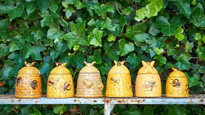 什麼是蜜罐，它如何幫助捕獲黑客？