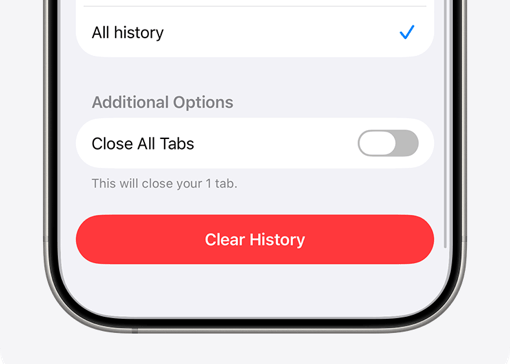 如何在iPhone上清除或删除iOS 26中的野生动物园历史记录