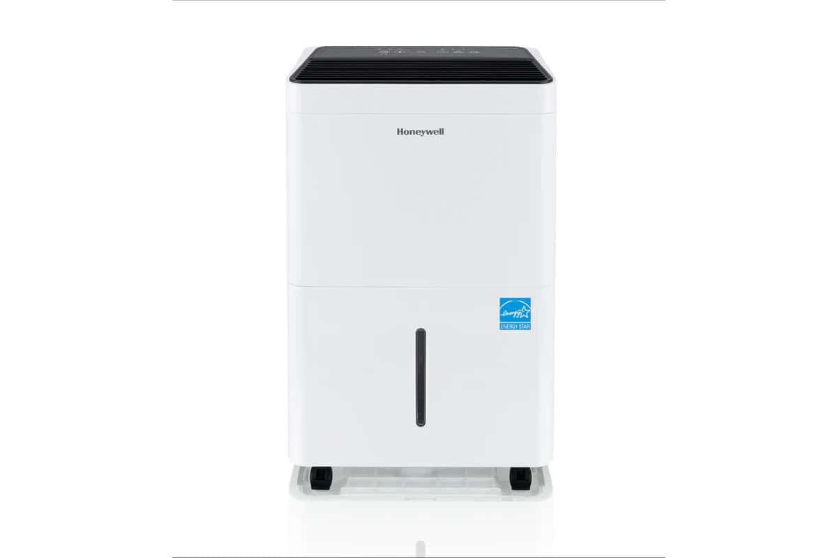 最好的地下室除湿机，用于预防霉菌和潮湿