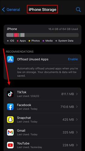 Check which apps have taken up the most space on your iPhone.